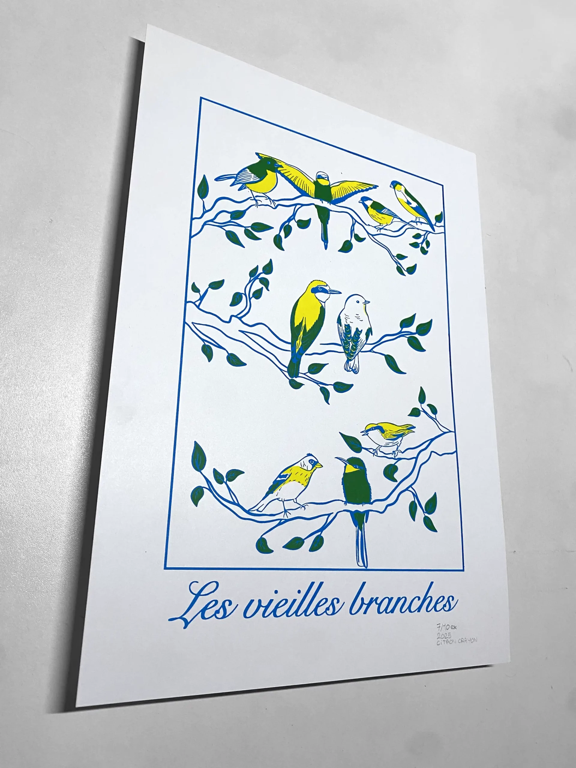 Affiche A3 Vieilles Branches