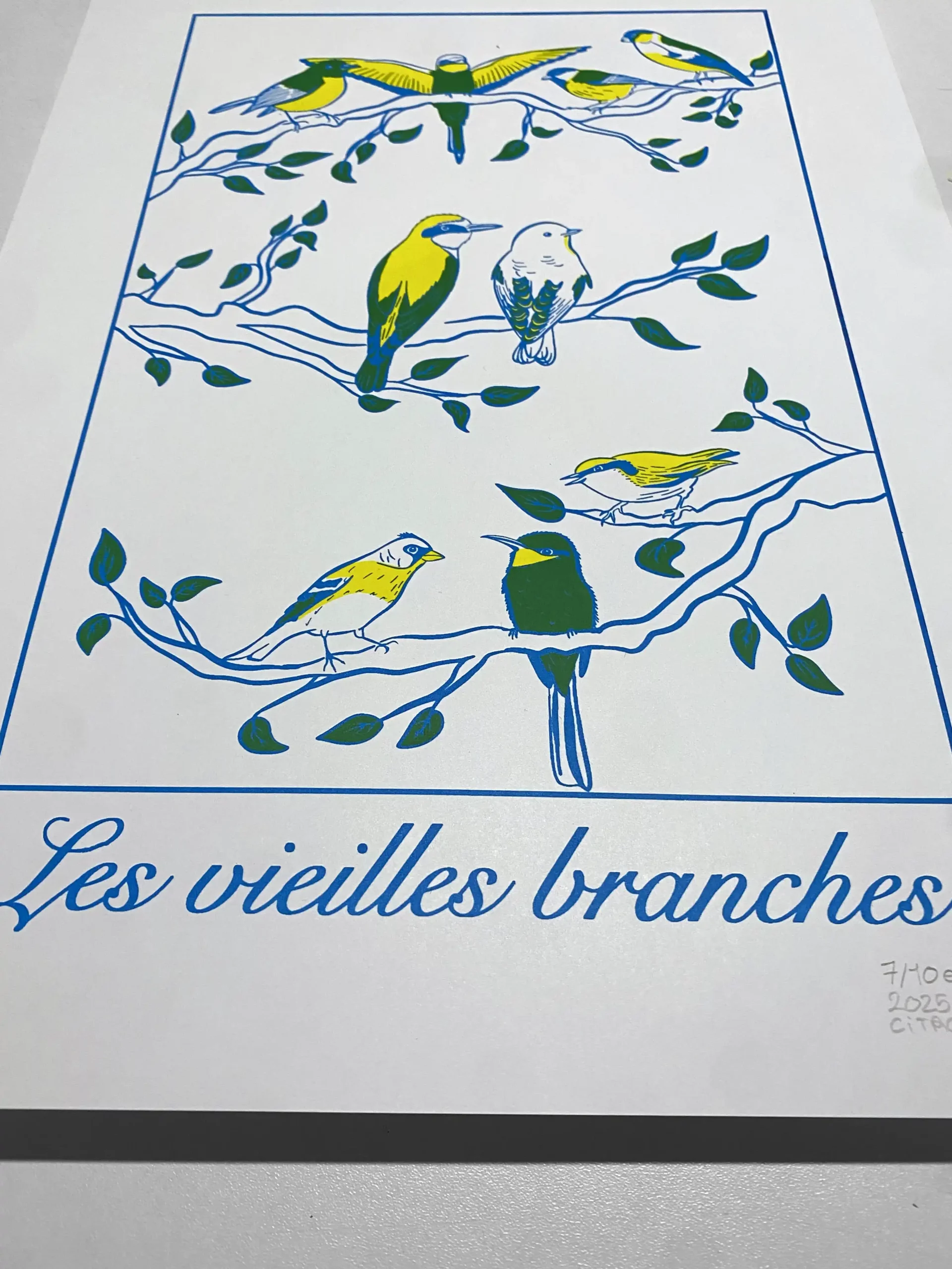 Affiche A3 Vieilles Branches