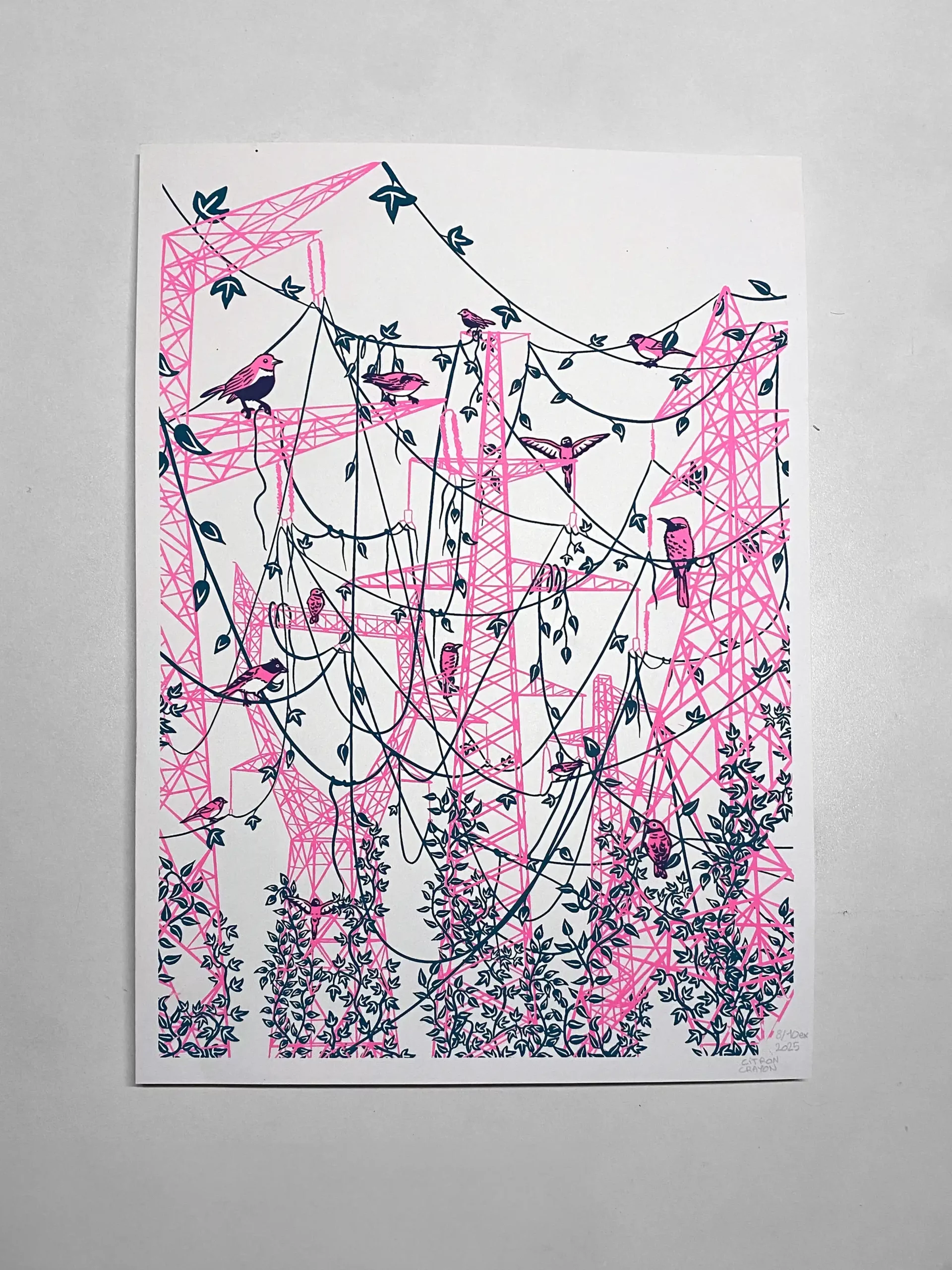 Affiche A3 Pylônes rose