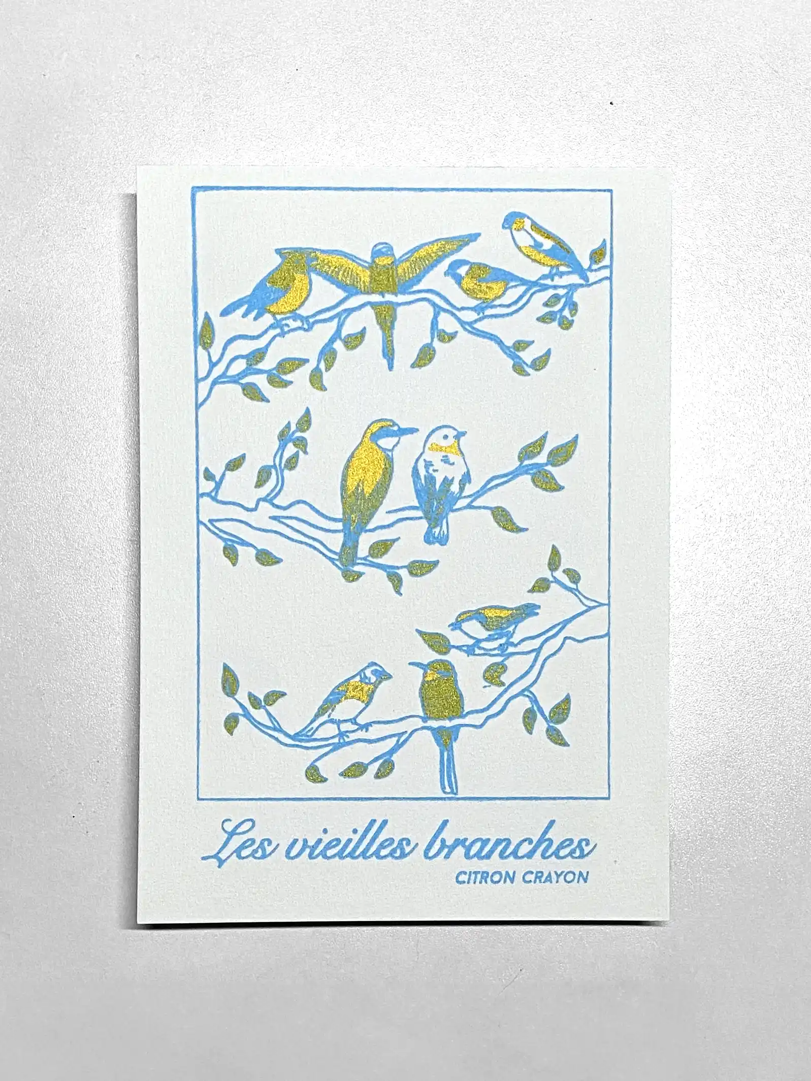Affiche A5 Vieilles Branches