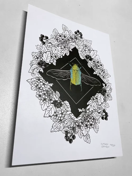 Affiche cétoine A4