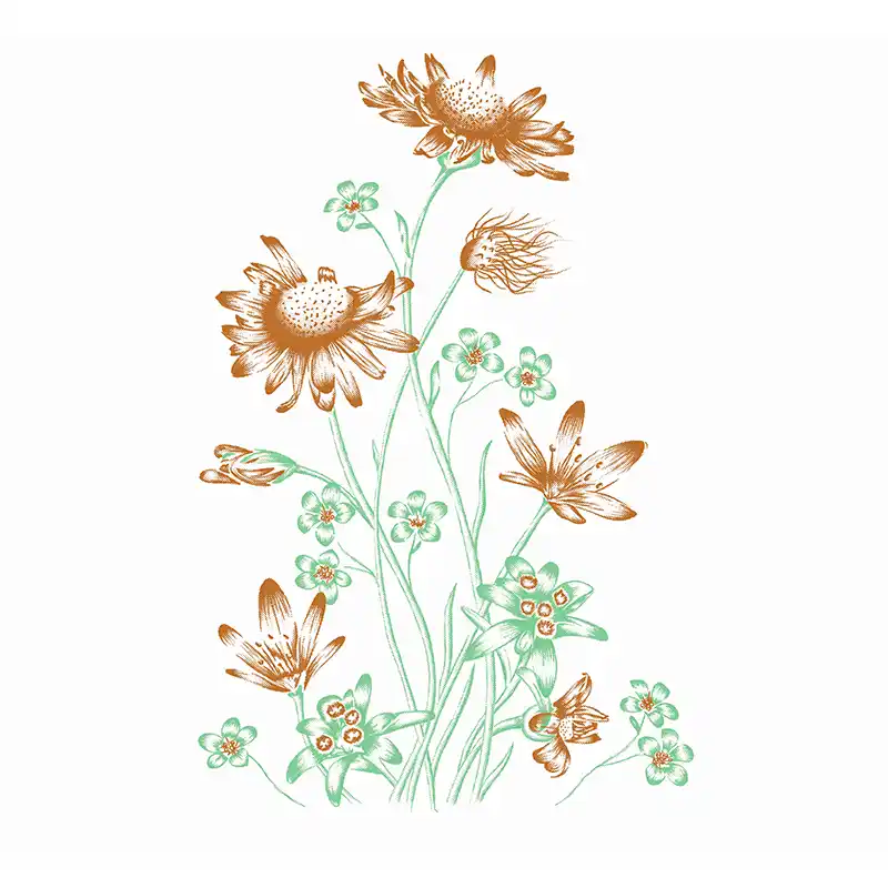 motif-ocre Motif couleur Ocre pour Maison Perrissin-Fabert